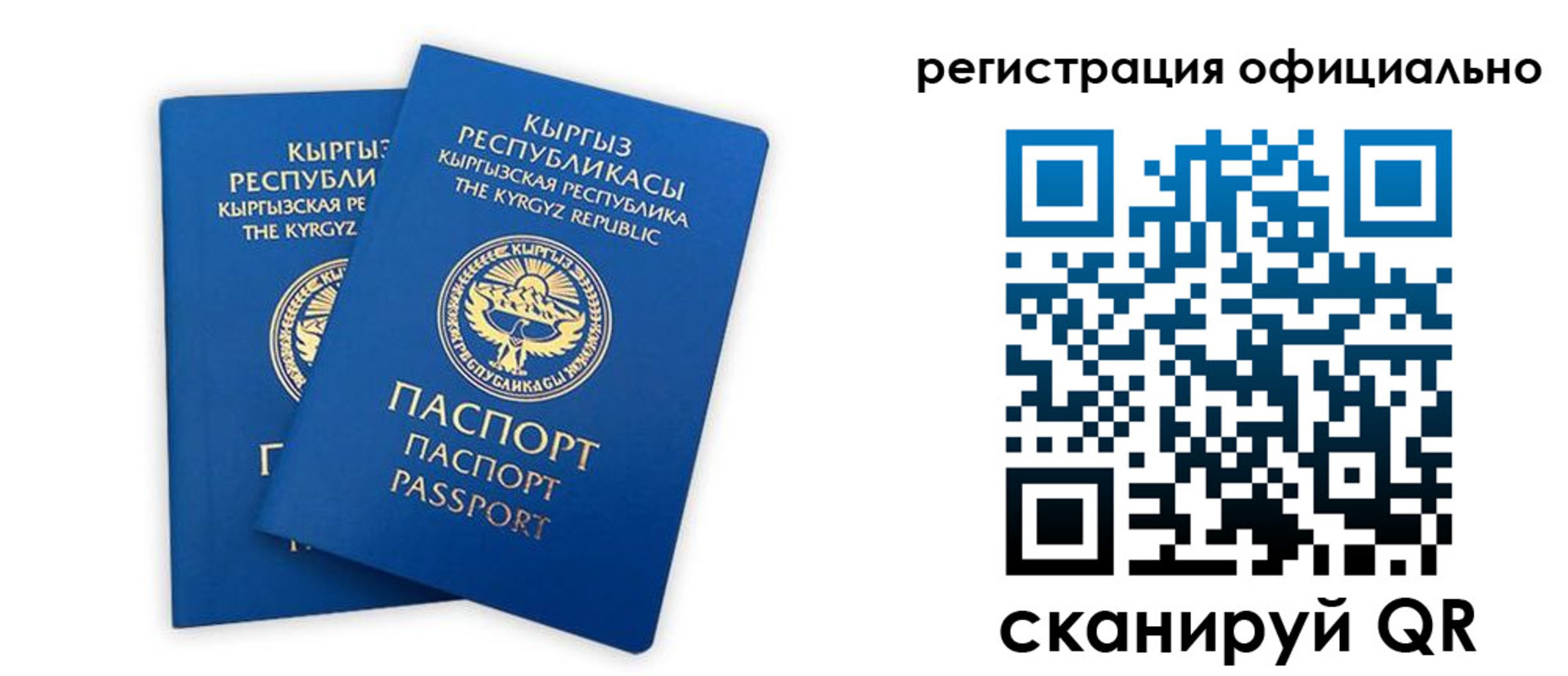 прописка поиск в Белёве